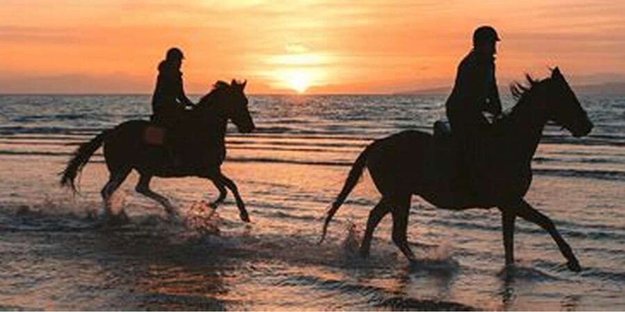 Horseback riding in Boavista for beginners - Beach riding with sand, sun, and other people