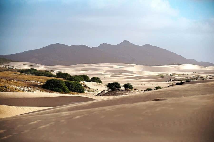 Island tour & cattle & Taste local flavors - Who should book this Boa Vista tour?