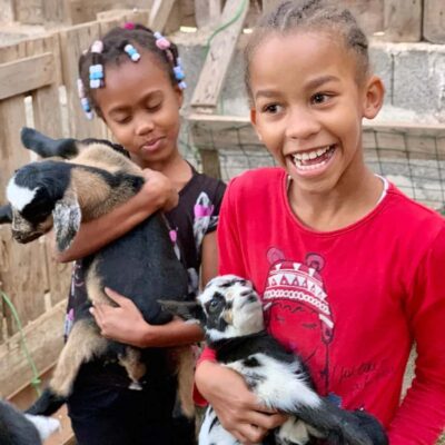 Island tour & cattle & Taste local flavors
