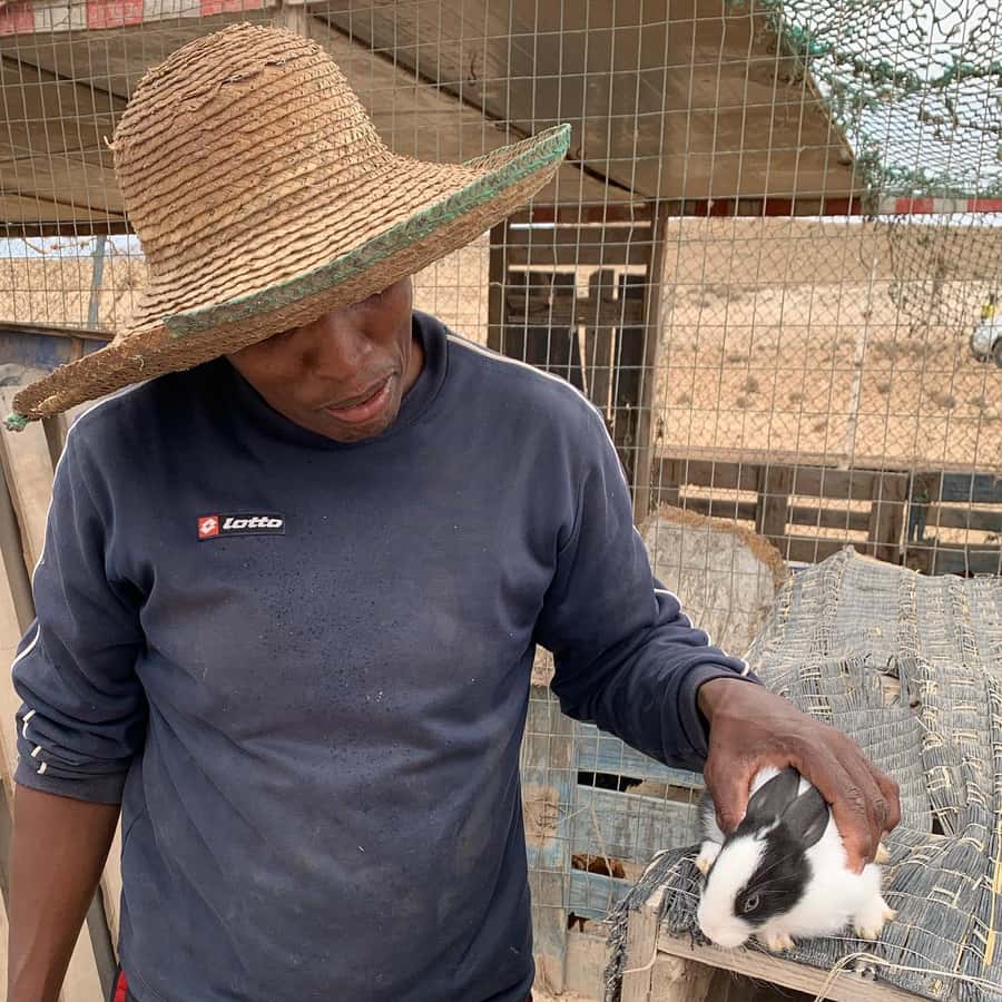 Island tour & cattle & Taste local flavors - Is $111 a fair price?