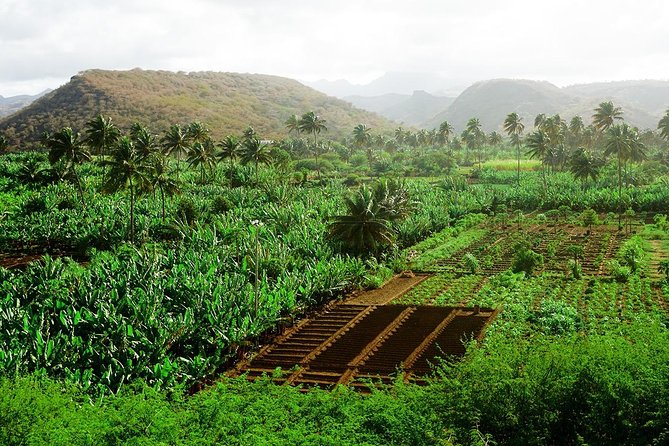 Like Locals: Banana Plantation, and Cuscuz with locals - From Praia to the fields of Santa Cruz