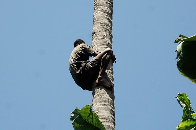 Like Locals: Banana Plantation, and Cuscuz with locals - A guide who adds context to the road