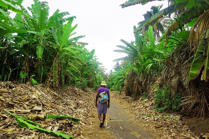Like Locals: Banana Plantation, and Cuscuz with locals - A family kitchen in São Lourenço dos Órgãos