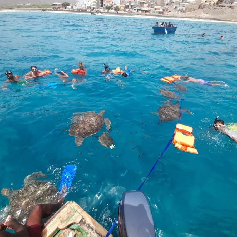 Live Snorkeling & Swimming with Sea Turtles in the Atlantic - Snorkeling gear and the climb back aboard