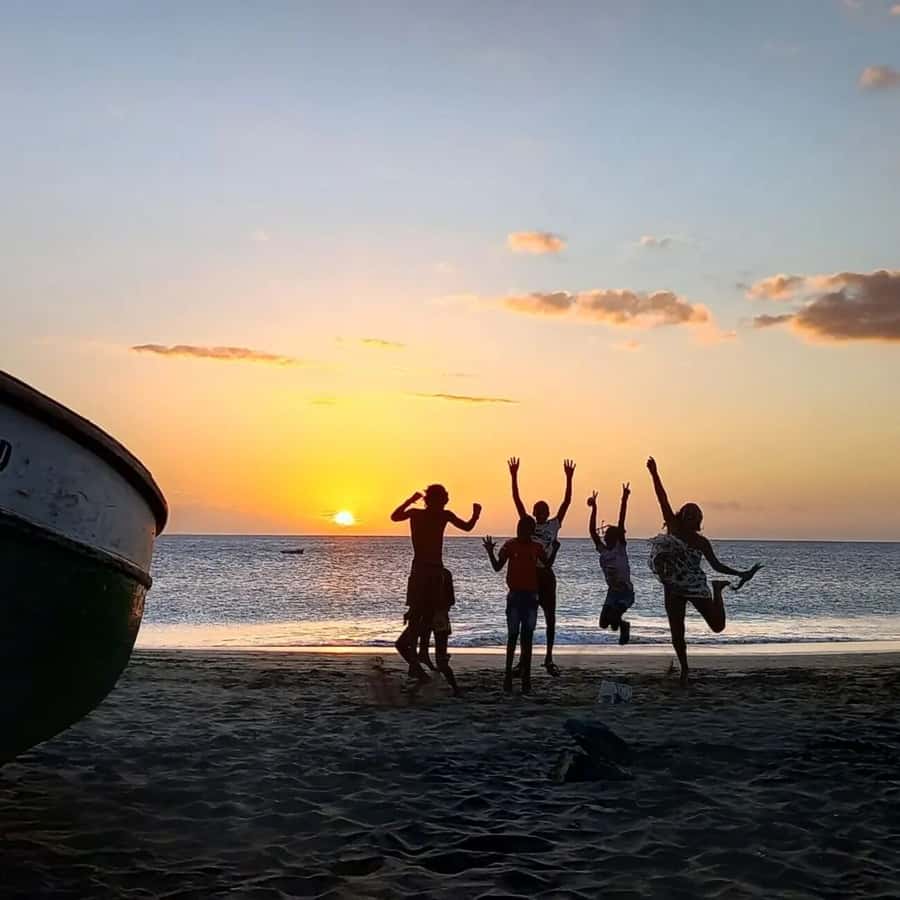 Live Snorkeling & Swimming with Sea Turtles in the Atlantic - How the pickup and local team work