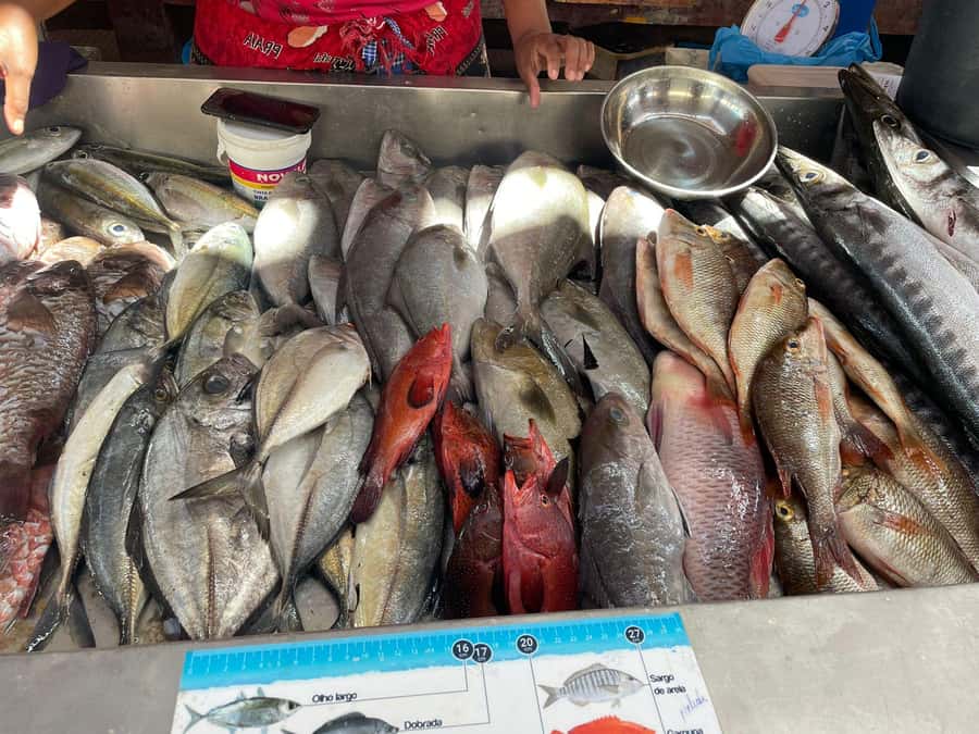 Mindelo City Walking Tour - What the guide adds to the experience