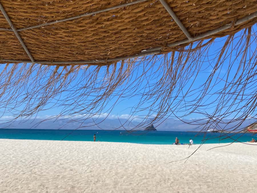 Mindelo: Private Walking Tour with Local Food Tasting - What you will taste at the rooftop stop