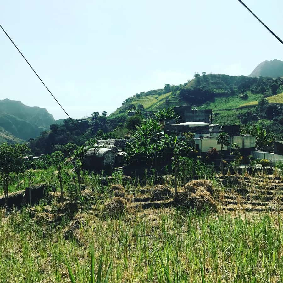 Paúl hike, the green garden - My verdict on Kapverden Tours’ Paul Valley hike