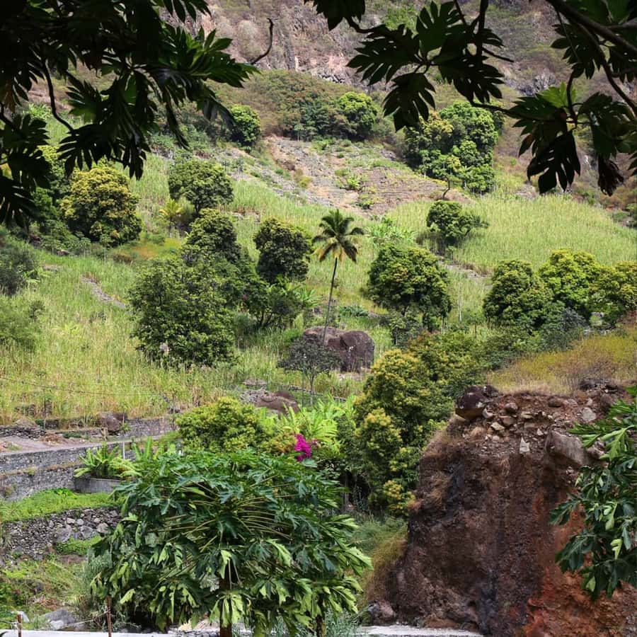 Paúl hike, the green garden - What the guide adds to the walk