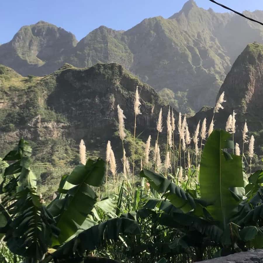 Paúl hike, the green garden - Lunch after the hike, with an extra charge