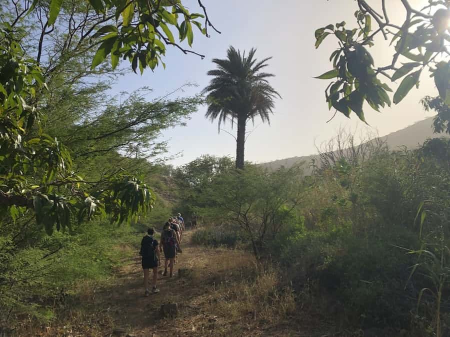 Praia: Baobab Mysterious Tree, Green Valley & Old City Hike - Guides who add the local story
