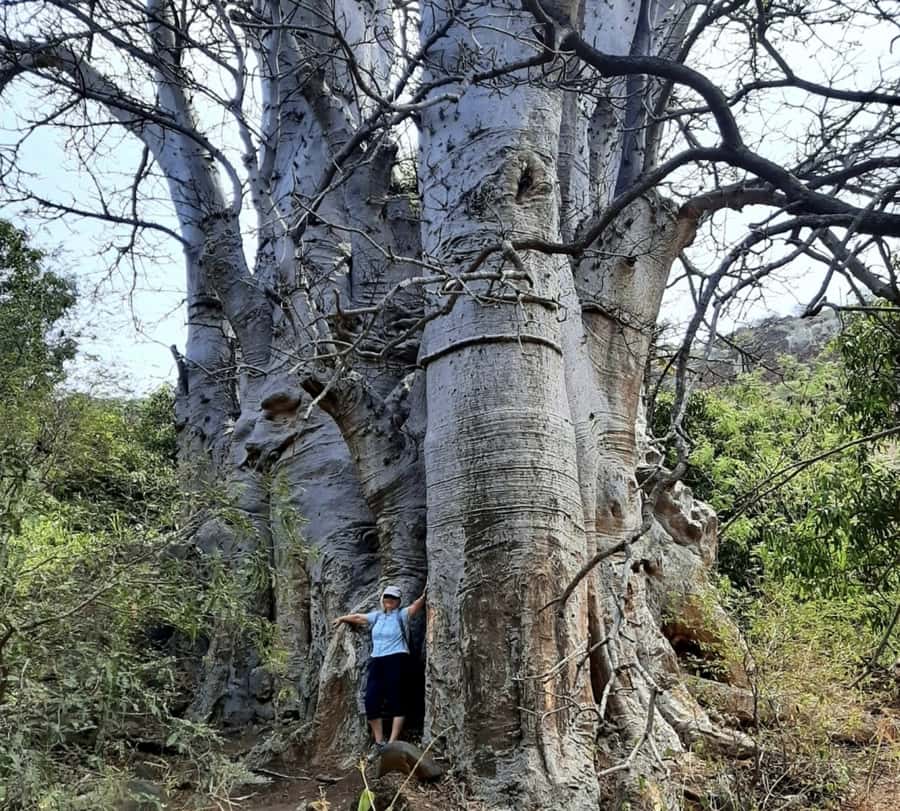 Praia: Baobab Mysterious Tree, Green Valley & Old City Hike - The opening descent needs proper footwear