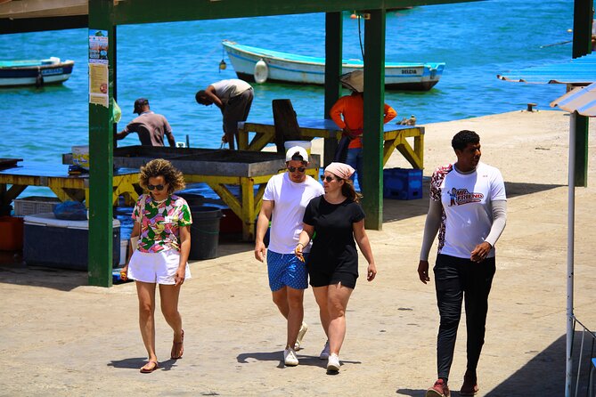 Private Full-Day Tour of Sal Island - Murdeira and the lion-shaped mountain