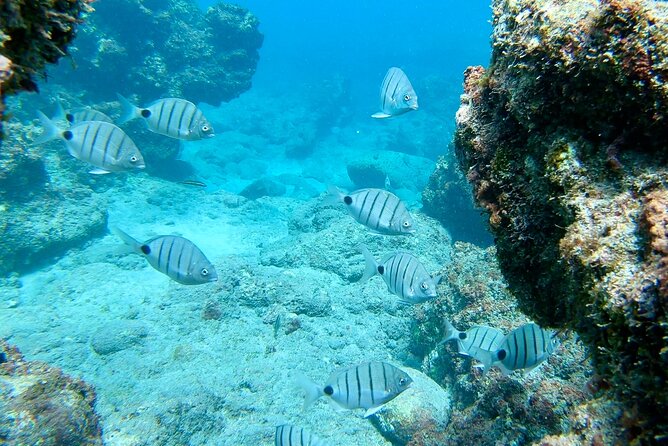 Sailing yacht half day- with Cape Verde Sailing - Swimming, sunbathing, and snorkeling when conditions allow