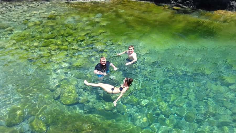 Sal: All-Inclusive Salt Lake, Blue Eye and Shark Bay Tour - Shark Bay: the tour’s most memorable wildlife stop