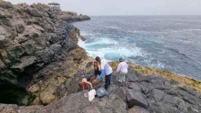 All inclusive Salt Lake, Natural pools and Shark Bay