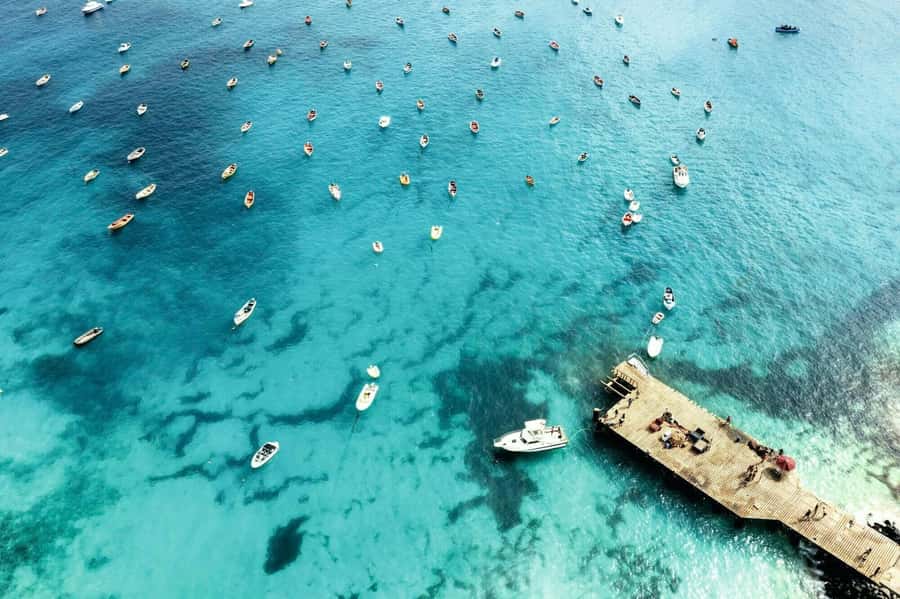 Sal Island Catamaran Cruise with All-inDrinks and Snacks - Watching Monte Leão and the Murdeira Bay coast