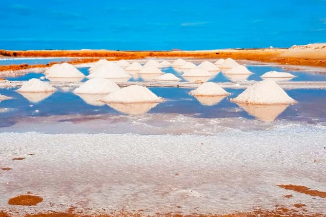 Sal Island: Guided Full-Day Highlights Tour with Lunch - Key points before you book