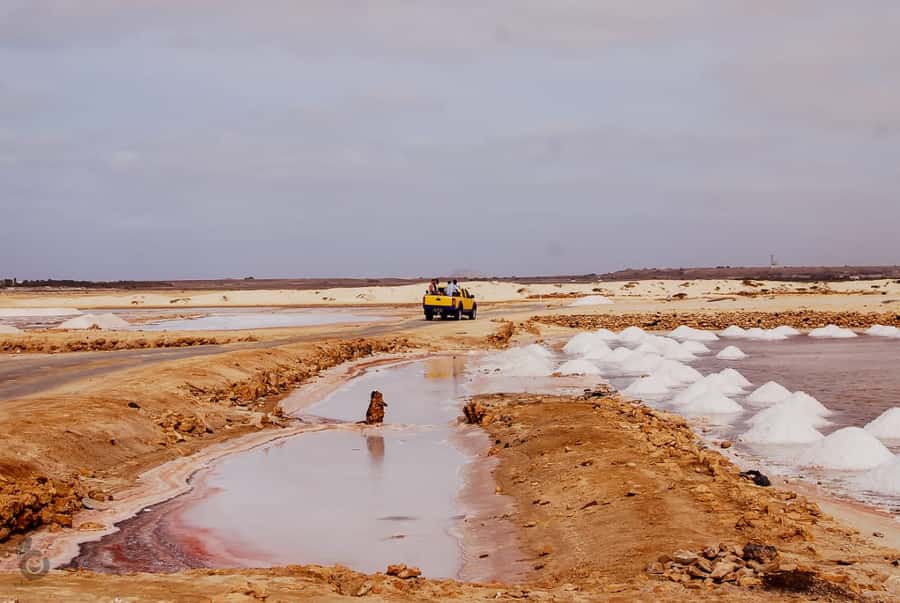 Sal island: Guided Historical and Cultural Tour - Transport, timing, and what to pack