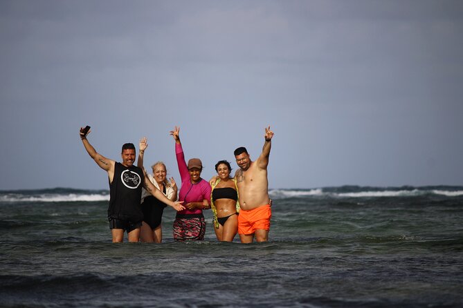 Sal Island, Salinas, Buracona and lemon shark - Why this Sal Island day tour works