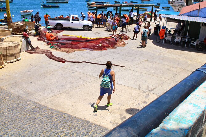 Sal Island, Salinas, Buracona and lemon shark - Shark Bay is the day’s signature experience