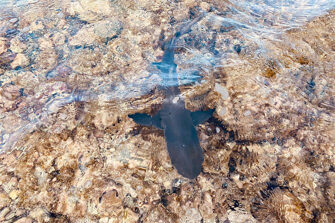 Sal island: Salt Lake Tour, Shark bay & Pedra de Lume Village - Pedra de Lume village and the story of salt