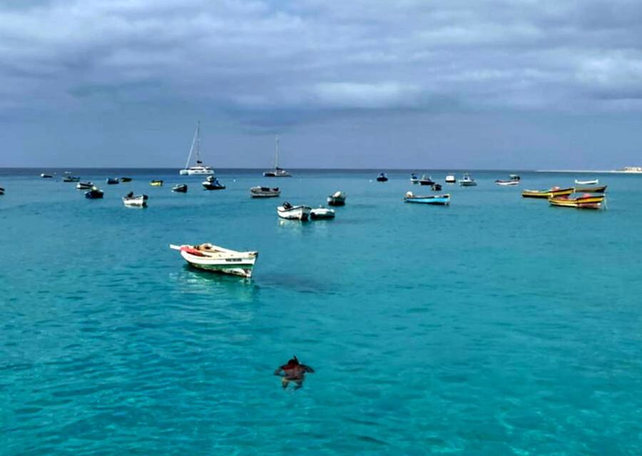 Sal island: Santa Maria city tour, street art and tapas - Starting with Santa Maria’s old salt pier