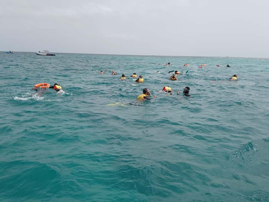Sal Island: Santa Maria Snorkelling - What the Santa Maria snorkeling trip is really like