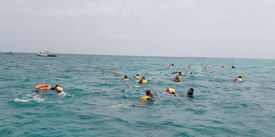 Sal Island: Santa Maria Snorkelling - Who should book this activity
