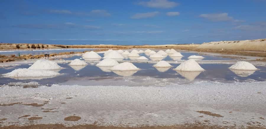 Sal island: Secrets of a Native Guide Day trip with Lunch - Shark Bay is the day’s most memorable stop