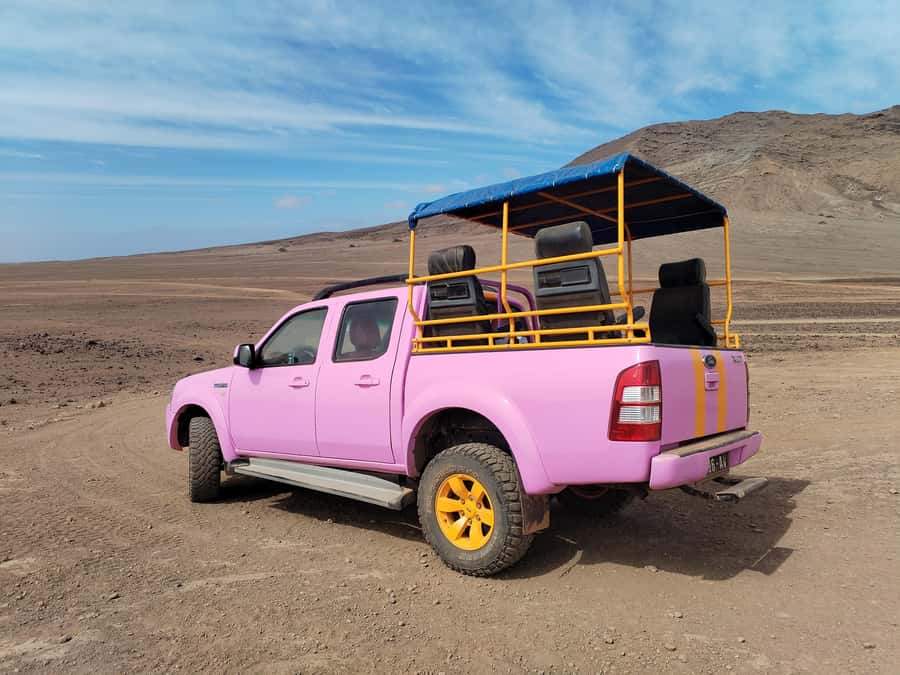 Sal: Island tour with offroad touch and creative pictures - Why the pink pickup changes the day