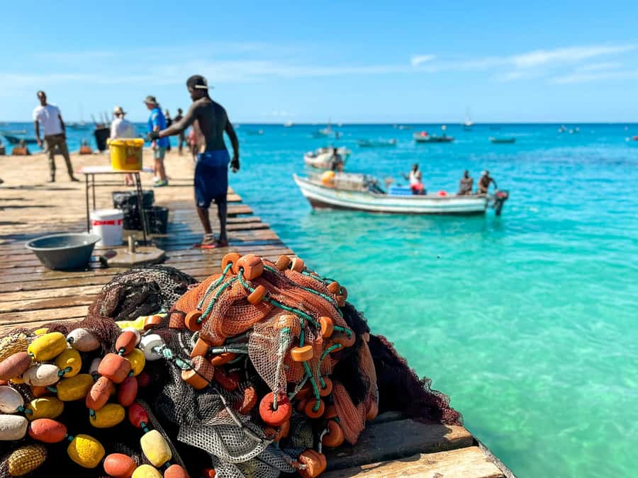 Sal Island: Two Hours Self-Drive Tour around Santa Maria - Starting at Spinach Tours in Santa Maria