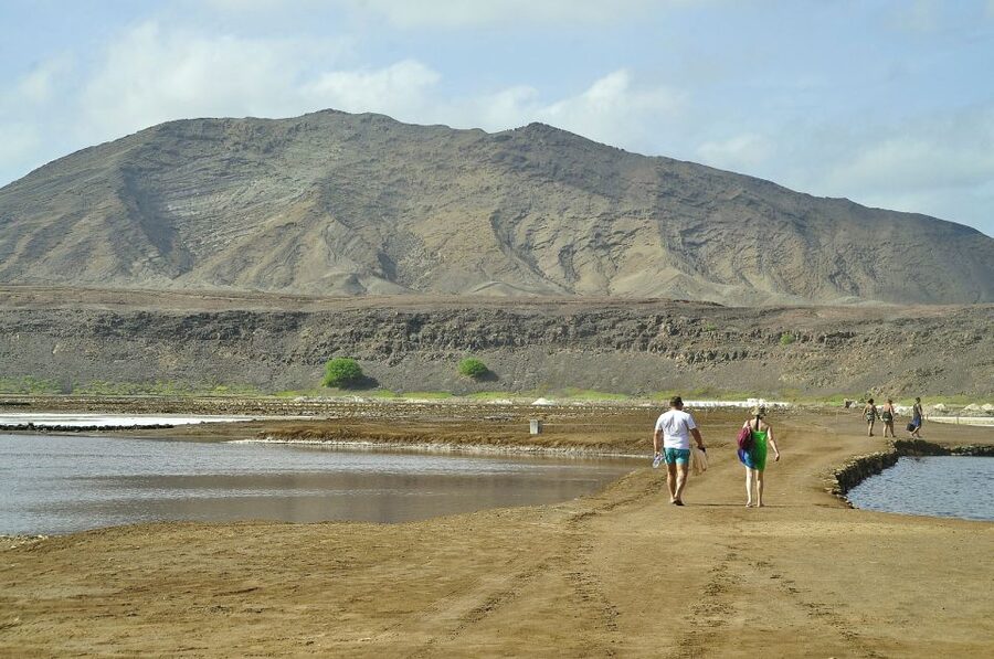 Sal: Lemon Shark Bay and Pedra de Lume Salt Lakes Tour - Should you book the Lemon Shark Bay and Pedra de Lume tour?