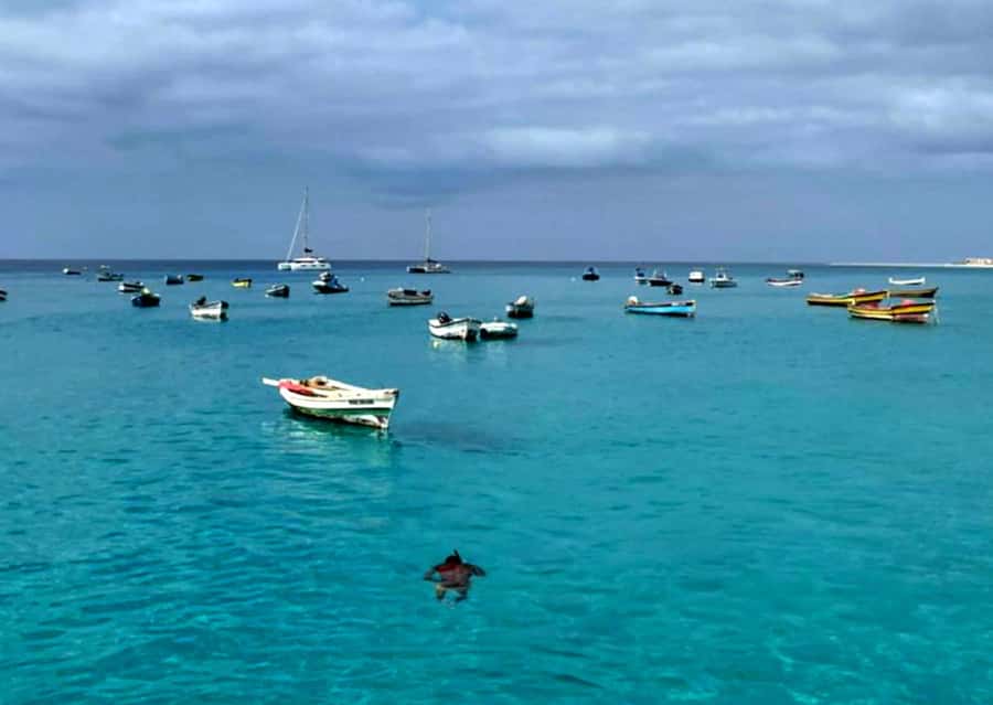 Sal: Private Tour Secrets of a native guide All-inclusive - Espargos, the working side of Sal