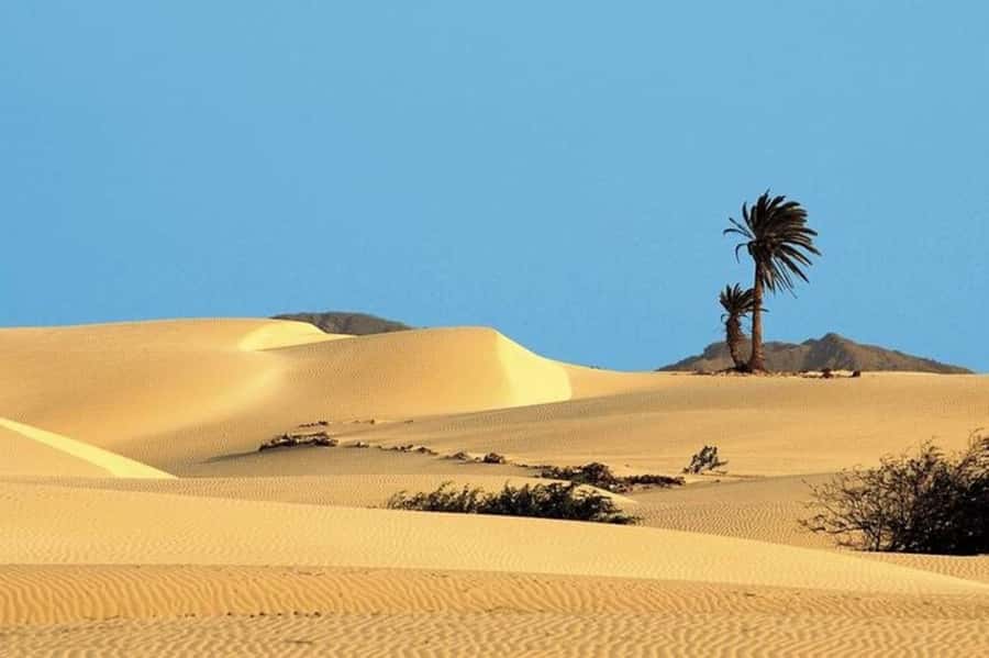 Sal Rei, Santa Monica Beach, Caves, Dunes & Shipwreck Tour - What the guide adds to a fast-moving day