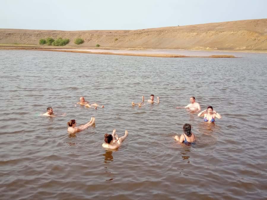 Sal: Salt Lake Tour, Shark Bay and Pedra de Lume Village - Shark Bay brings you close to Sal’s lemon sharks