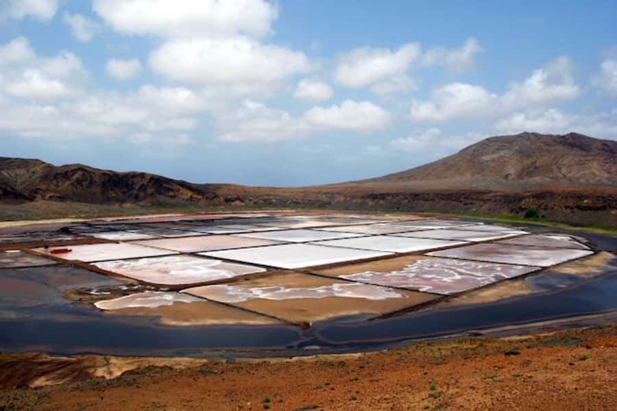 Salt Pans & Lemon Sharks Experience - Who will enjoy this Sal experience most