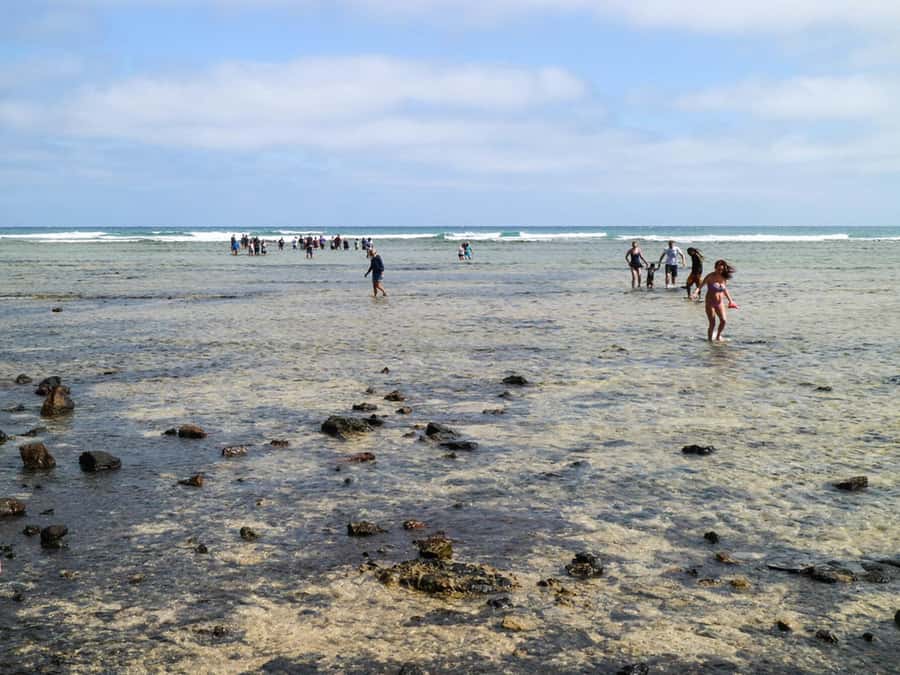 Salt Pans & Lemon Sharks Experience - What to expect at Shark Bay