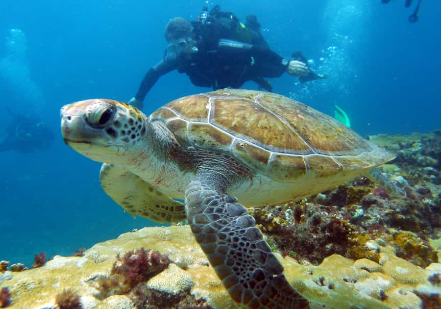 Santa Maria: Discover Scuba Diving - Boarding the boat for the ocean session