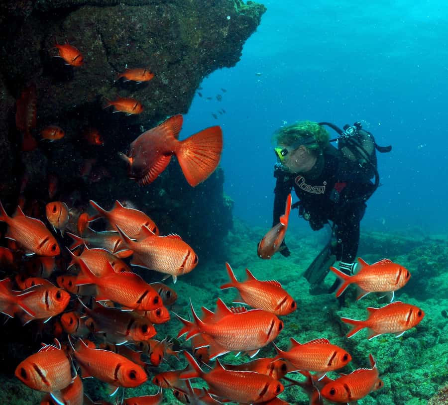 Santa Maria: Discover Scuba Diving - The long lunch break is part of the plan