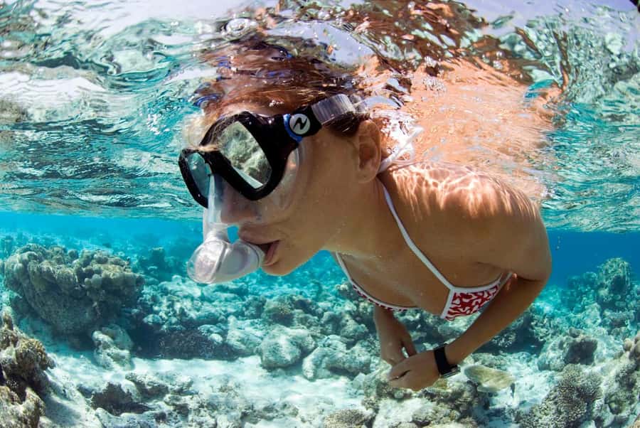 Santa Maria: Guided Snorkeling and Reef Tour - From hotel pickup to the Cabo Verde Diving center