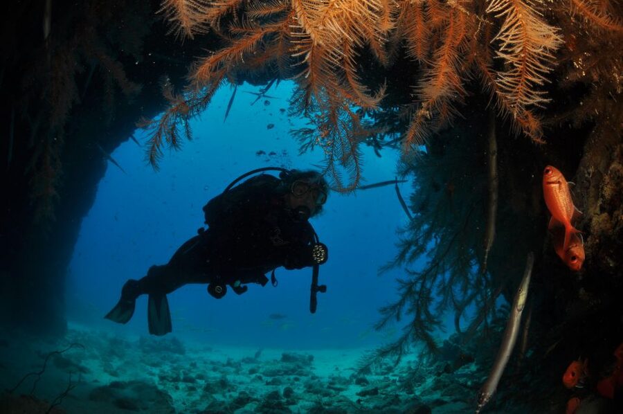 Santa Maria: Half-Day Diving Trip in Sal with Pickup - Conditions can change the plan