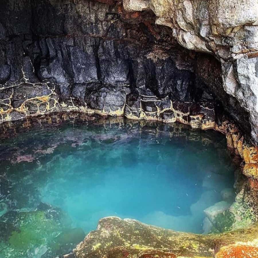 Santa Maria: Salt Mine, Natural Pool, and Shark Bay Tour - Meeting the lemon sharks at Shark Bay