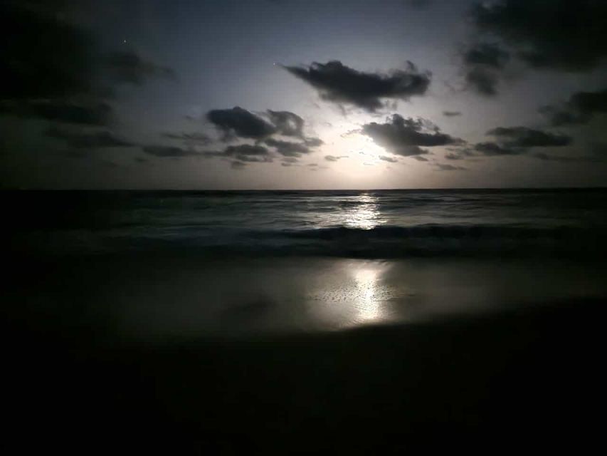Santa Maria: Sea Turtle Watching Experience on Sal Island - Practical clothing and behavior advice