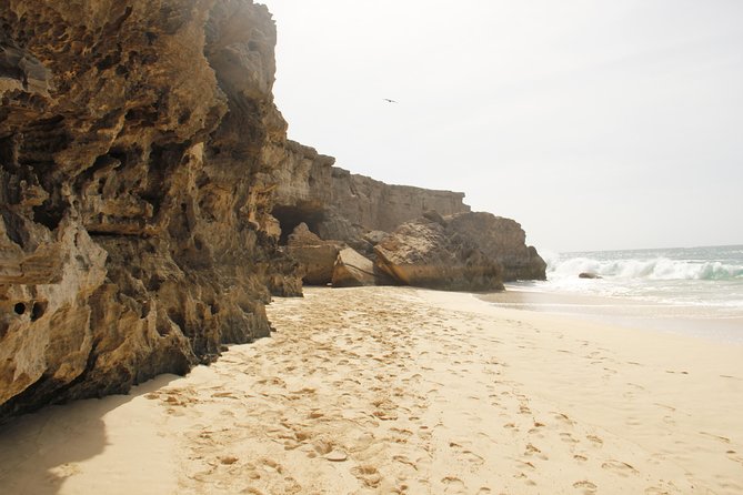 Santa Monica NO Stress Tour - Is $58.07 a fair price?