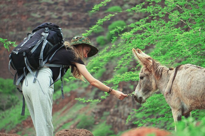 Santiago Island: 4-Hour Calabaceira Valley Hike & Guided Tour to Cidade Velha - From Praia to Calabaceira’s green valley