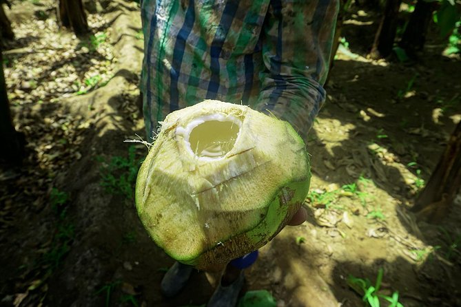 Santiago Island: Banana Plantation, Natural Park & Workshop with a local family - What the $87.14 price gets you