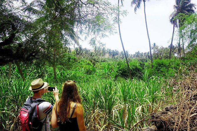 Santiago Island: Banana Plantation, Natural Park & Workshop with a local family - Who will enjoy this Santiago Island outing