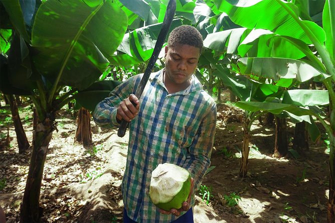 Santiago Island: Banana Plantation, Natural Park & Workshop with a local family - Practical booking advice for Praia