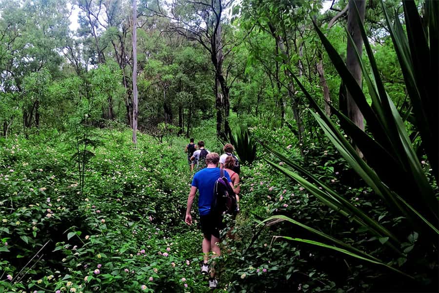 Santiago Island: Serra Malagueta & Tarrafal Beach Trek Tour - A simple picnic with a useful pause